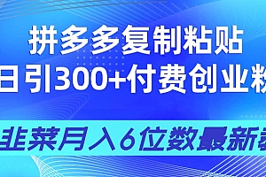 【第12692期】拼多多复制粘贴日引300+付费创业粉