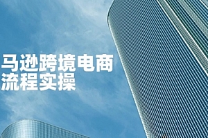 【第12704期】亚马逊跨境电商全流程实操,教你从零开始,掌握店铺运营与广告技巧