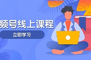 【第12750期】视频号实战课程,轻IP打造与运营技巧,掌握核心方法与策略