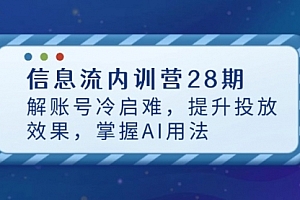 【第12843期】信息流内训营28期,解账号冷启难,提升投放效果,掌握AI用法