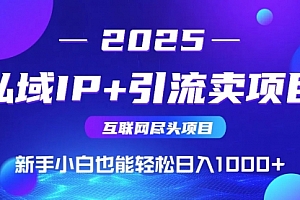 【第12865期】私域IP+卖项目,普通人小白也能轻松实现日入1000+