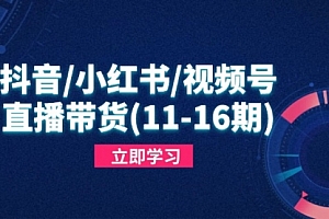 【第12867期】抖音/小红书/视频号/直播带货(11-16期),快速掌握平台规则,打造爆款内容