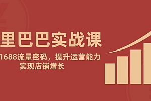 【第12969期】阿里巴巴实战课:掌握1688流量密码,提升运营能力,实现店铺增长