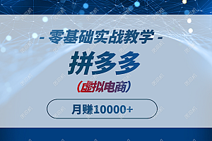 【第12991期】拼多多虚拟电商,零基础实战教学,快速打爆商品,新手也能月入10000+