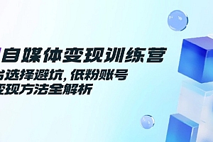 【第13035期】AI自媒体变现训练营,平台选择避坑,低粉账号高变现方法全解析