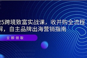 【第13039期】2025跨境致富实战课,收并购全流程拆解,自主品牌出海营销指南