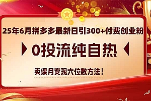 【第13043期】25年6月拼多多最新日引300+付费创业粉,0投流纯自热 卖课月变现六位数方法