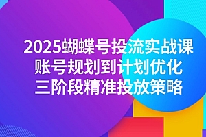 【第13045期】2025蝴蝶号投流实战课,账号规划到计划优化,三阶段精准投放策略