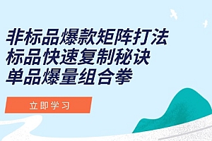 【第13089期】非标品爆款矩阵打法,标品快速复制秘诀,单品爆量组合拳