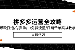 【第13100期】拼多多运营全攻略,爆款打造/付费推广/免费流量/日销千单实战教学/6月更新