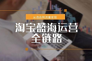 【第13139期】淘宝蓝海运营全链路,从选品到流量变现,小类目突围完整方案