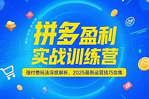 【第13157期】拼多多盈利实战训练营,强付费玩法深度解析,2025运营技巧合集-更新6月
