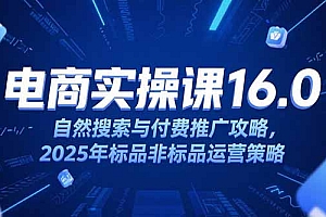 【第13203期】淘宝电商运营课16.0,自然搜索与付费推广攻略,2025年标品非标品运营策略