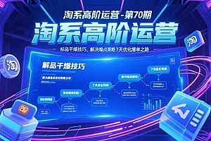 【第13230期】淘系高阶运营-第70期,标品干爆技巧,解决难点策略,大佬操盘方法