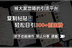 【第13289期】招聘平台,复制粘贴轻松日引300+创业粉,新手也能操作