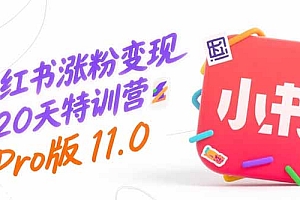 【第13297期】小红书涨粉变现120天特训营Pro版11.0:从0到1掌握平台运营,内容制作和变现