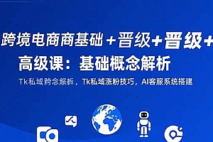 【第13334期】跨境电商基础+晋级+高级课:基础概念解析,Tk私域涨粉技巧,AI客服系统搭建