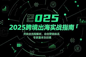 【第13340期】2025跨境出海实战指南,并购全流程解析,自创营销体系,专家基本功训练