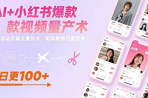 【第13358期】AI+小红书爆款视频量产术:全自动剪辑去重技术,矩阵账号日更百条