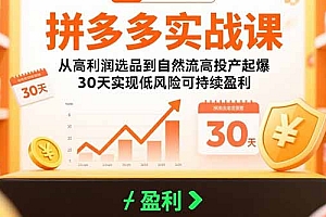 【第13379期】拼多多实战课:从高利润选品到自然流高投产起爆 30天实现低风险可持续盈利