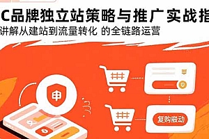 【第13505期】DTC品牌独立站策略与推广实战指南,系统讲解从建站到流量转化的全链路运营