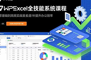 【第13539期】WPS Excel全技能系统课程:从零基础到高阶实战全覆盖,全面提升办公效率