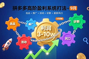 【第13567期】拼多多高阶盈利系统打法-9月:选品+推广+活动+诊断+最新风口,月利润3-10w