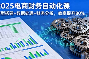 【第13635期】2025电商财务自动化课,模型搭建+数据处理+财务分析,效率提升80%