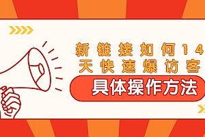 【勇锶1934期】进阶战术课:新链接如何14天快速爆访客:具体操作方法(视频教程)