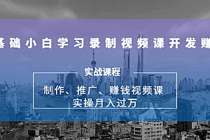 【勇锶1947期】0基础小白学习录制视频课开发赚钱:制作、推广、赚钱视频课 实操月入过万