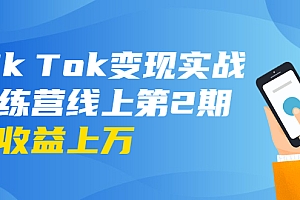 【勇锶1966期】龟课·Tik Tok变现实战训练营线上第2期:日入上百+美刀 月收益上万不成问题