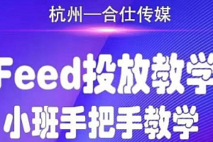 【勇锶2053期】合仕传媒Feed投放教学,手把手教学,开车烧钱必须自己会!