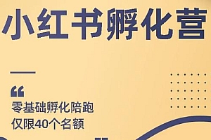 【第2049期】小红书撸金快速起量项目:教你如何快速起号获得曝光,做到月躺赚在3000+