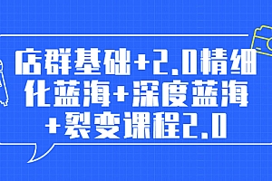 【第2144期】孤狼电商店群全套教程:店群基础+2.0精细化蓝海+深度蓝海+裂变课程2.0