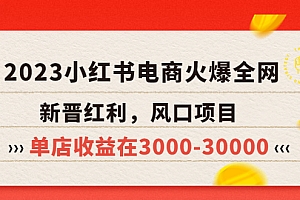 【第5774期】2023小红书电商火爆全网，新晋红利，风口项目，单店收益在3000-30000