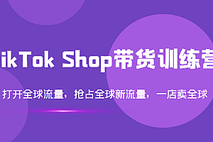 【第3695期】TikTok Shop带货训练营，打开全球流量，抢占全球新流量 一店卖全球(第14期)