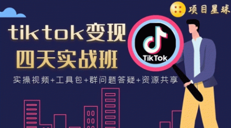 【副业项目1982期】tiktok变现四天实战班连怼技术+矩阵玩法赚,单账号月入2000美金(实操视频)-掘金计划