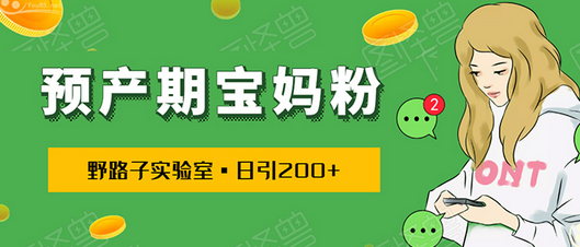 【勇锶2011期】日引200+预产期宝妈，从预产期到K12教育持续转化…操作方法简单-勇锶商机网