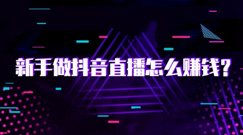 【勇锶2049期】抖音直播电商实战训练营：4 天从小白到直播操盘大师，单 场直播破百万-勇锶商机网