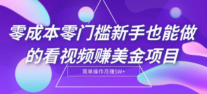 【第2129期】零成本零门槛新手也能做的看视频赚美金项目，轻松月赚5W+【视频教程】-勇锶商机网