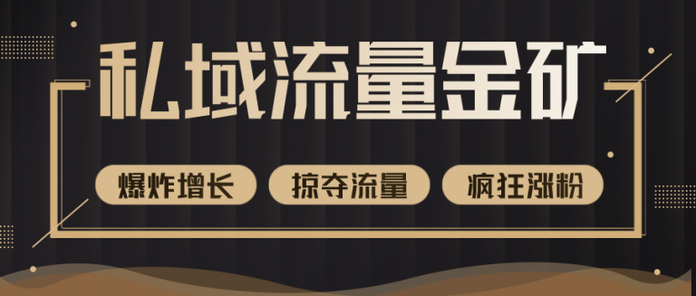 【第2307期】价值2200元私域流量的金矿，循环获取各大媒体精准流量，无限复制网红的精准流量！-勇锶商机网