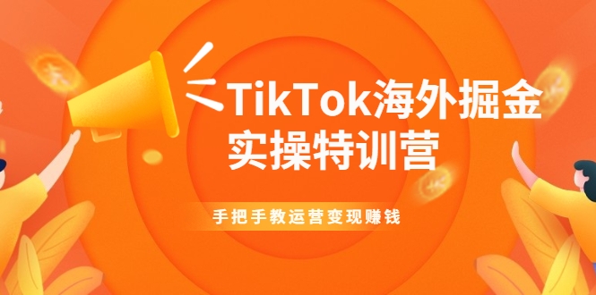 【第2314期】TikTok海外掘金实操特训营：手把手教运营变现赚钱【视频课程】-勇锶商机网