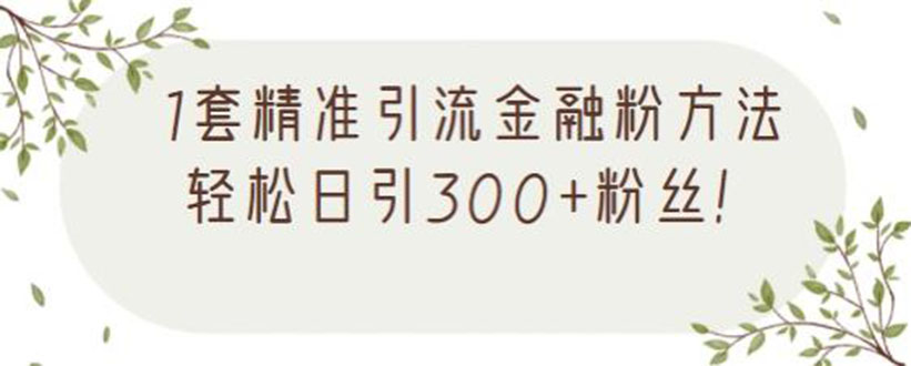 【第2619期】1套精准引流金融粉方法，轻松日引300+粉丝-勇锶商机网