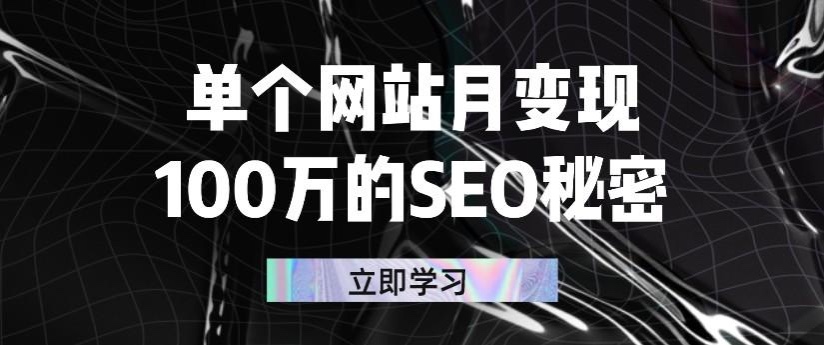 【第2804期】单个网站月变现100万的SEO秘密：如何百分百做出赚钱站点-勇锶商机网