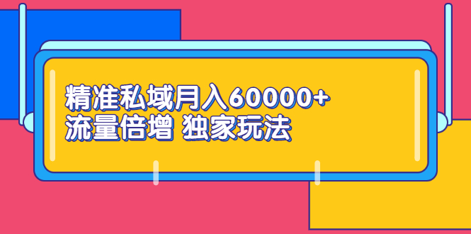 【第2821期】精准私域月入60000+ 流量倍增 独家玩法（9节视频课）-勇锶商机网