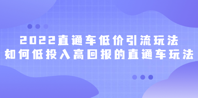 【第2882期】2022直通车低价引流玩法，教大家如何低投入高回报的直通车玩法-勇锶商机网