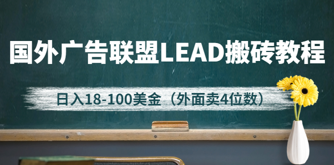 【第3085期】外面卖4位数的国外广告联盟LEAD搬砖教程，日入18-100美金（教程+软件）-勇锶商机网