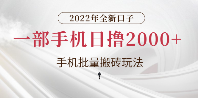 【第3146期】2022年全新口子，手机批量搬砖玩法，一部手机日撸2000+-勇锶商机网