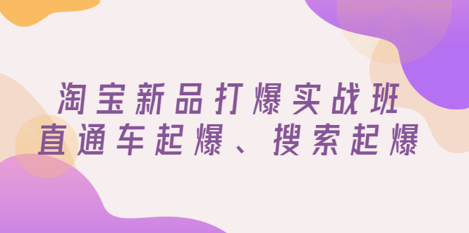 【第3272期】淘宝新品打爆实战班，直通车起爆、搜索起爆（价值599元）-勇锶商机网