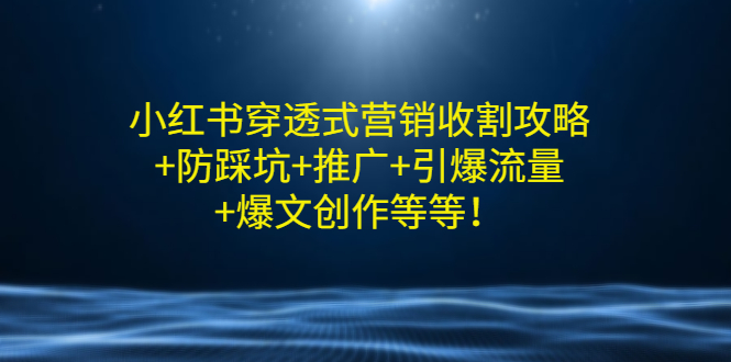 【第3358期】小红书穿透式营销收割攻略+防踩坑+推广+引爆流量+爆文创作等等-勇锶商机网